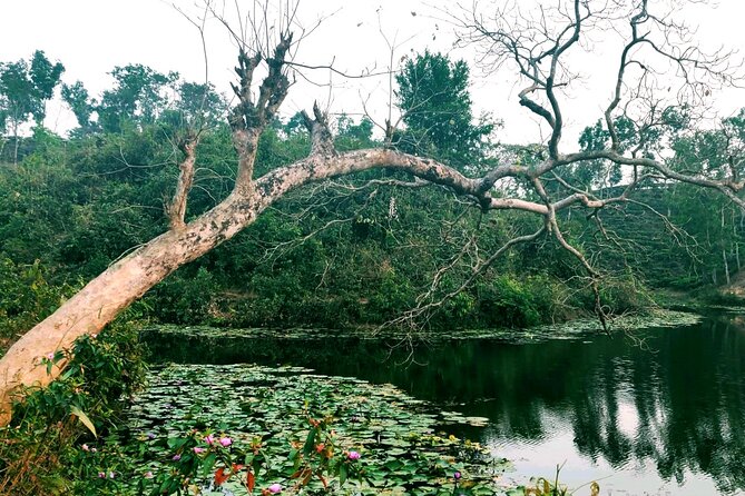 Full Day Sreemangal Tea Garden & National Park Hiking Tour - Madhabpur Lake slows the afternoon