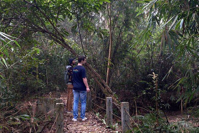 Full Day Sreemangal Tea Garden & National Park Hiking Tour - Four hours inside Lawachara’s tropical rainforest