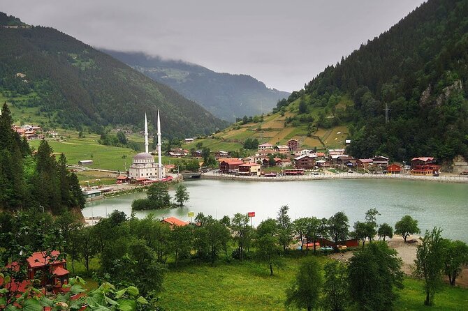 Full Day Tour In Uzungol Lake with Turkish Tea Tasting - A Turkish tea tasting at the factory