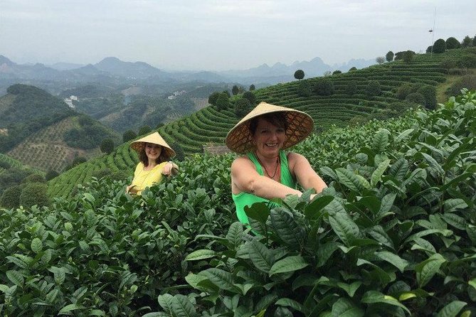 Full-day Tour: Spectacular Sunrise, Tea Plantation & Sunset - What the guide and transport add