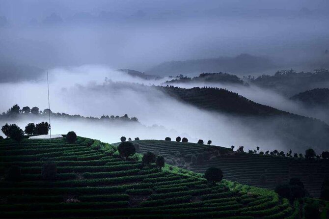 Full-day Tour: Spectacular Sunrise, Tea Plantation & Sunset - Who should book this experience?