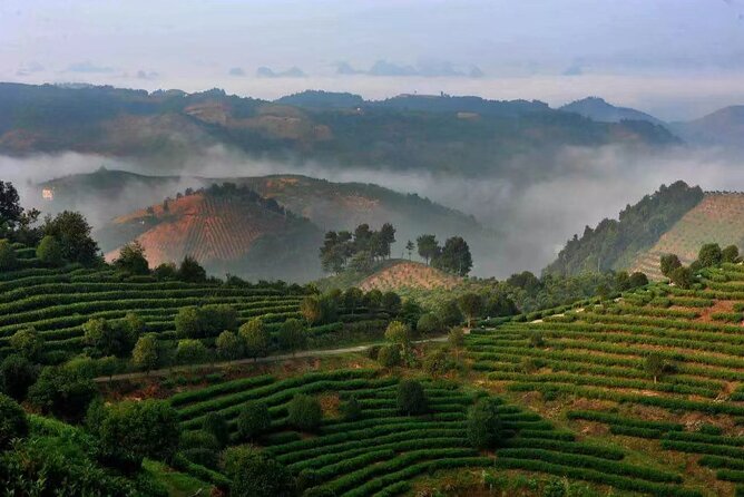 Full-day Tour: Spectacular Sunrise, Tea Plantation & Sunset - Practical advice for a smoother day