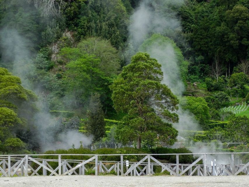 Furnas: Thermal Springs & Tea Plantation Day Tour with Lunch - Why this Furnas day trip works well