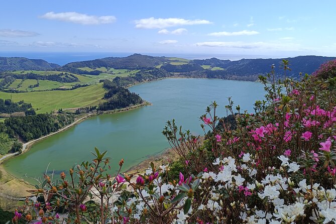 Furnas Vale, Gorreana Tea Factory Private Van Tour - Key points to know