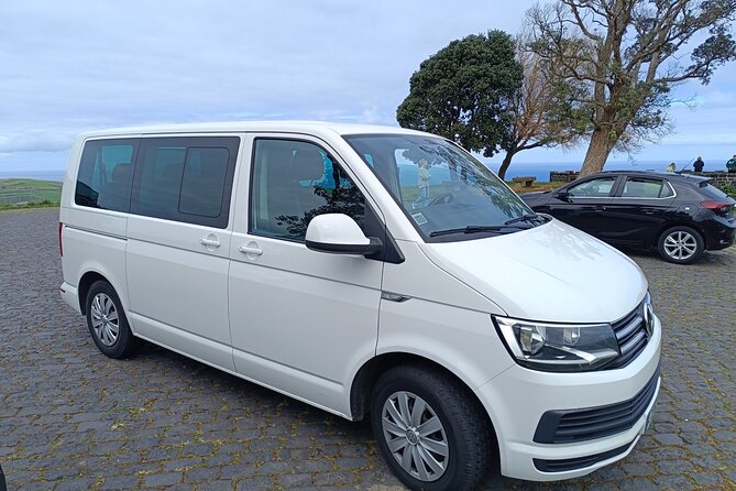 Furnas Vale, Gorreana Tea Factory Private Van Tour - Gorreana Tea Factory: the day’s most distinctive stop