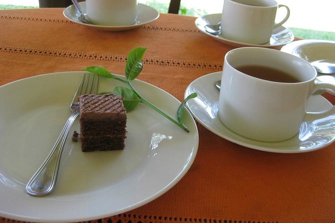 Galle Day Tour and Tea Plantation from Bentota & Other Places - Habaraduwa Sea Turtle Hatchery