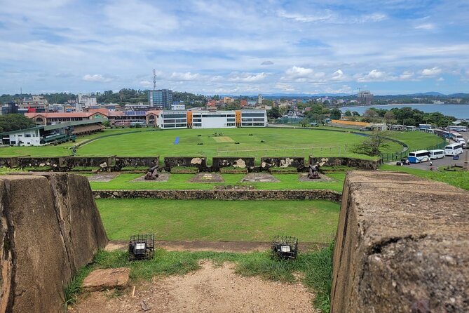 Galle Day Tour with River Safari, Tea Plantation & Sea Turtle - Tea plantation and factory: a look at local production