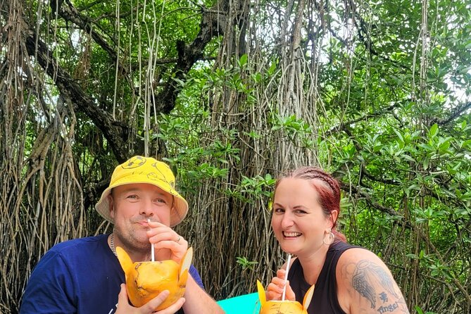 Galle Day Tour with River Safari, Tea Plantation & Sea Turtle - Lunch, water, and the value of $135