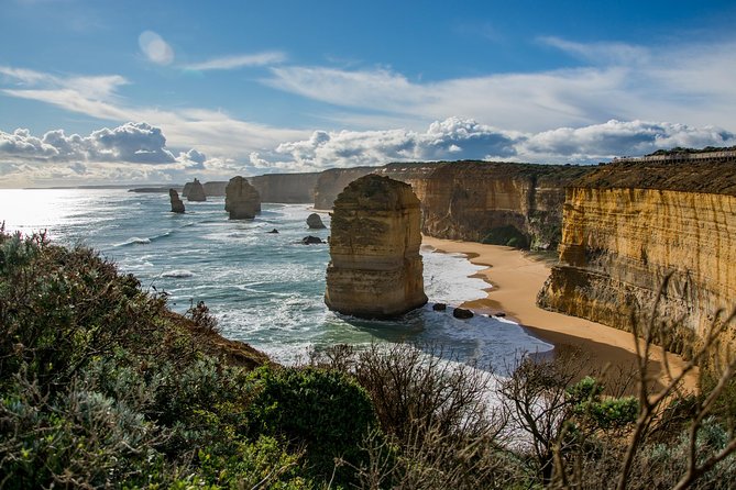 Great Ocean Road 12 Apostles & Rainforest Walk with Morning Tea - Why the 13-hour schedule matters