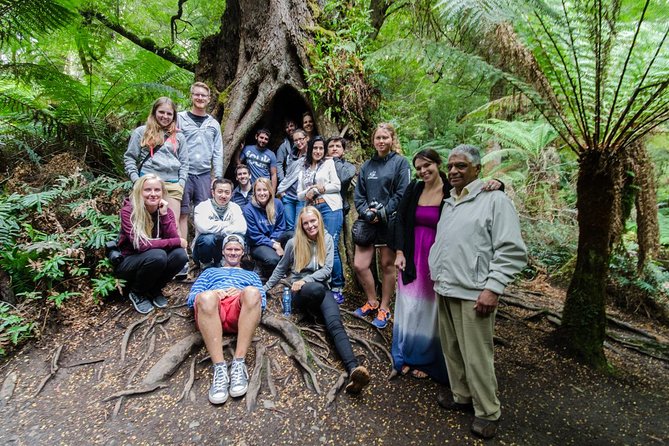 Great Ocean Road 12 Apostles & Rainforest Walk with Morning Tea - The Otway rainforest is the day’s best change of pace