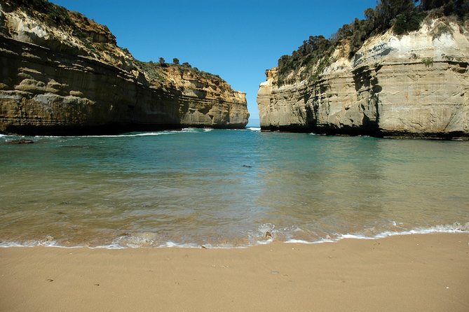 Great Ocean Road Tour Plus Koalas, Forest Walk and Morning Tea - Is This Great Ocean Road Tour Good Value at €82.29?