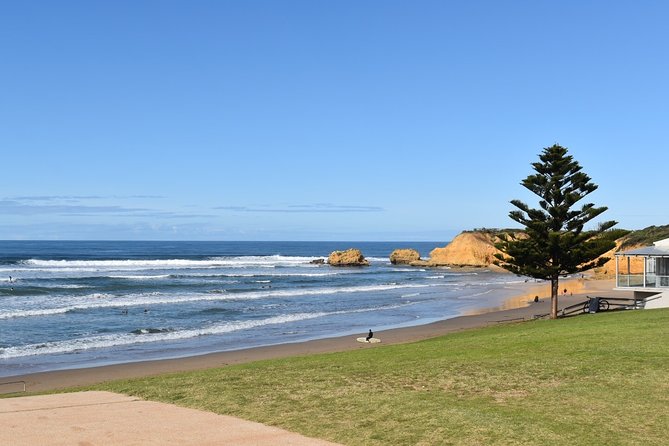 Great Ocean Road Tour Plus Koalas, Forest Walk and Morning Tea - Mait’s Rest and the Short Forest Walk