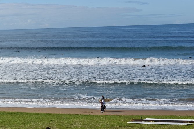Great Ocean Road Tour Plus Koalas, Forest Walk and Morning Tea - Cape Patton and the Return Through Colac