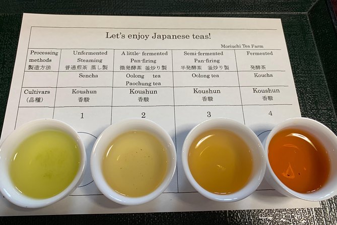 Guided Bike Tour to a Green Tea Farm in Shizuoka (not e-bikes) - Key points to know before booking