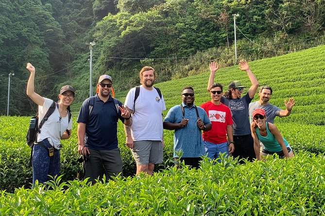 Guided Bike Tour to a Green Tea Farm in Shizuoka (not e-bikes) - What the $175.60 price includes