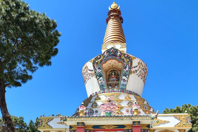 Guided Day Tour to Bir – Monasteries,Temple & Tea Garden Visit - What the private format changes
