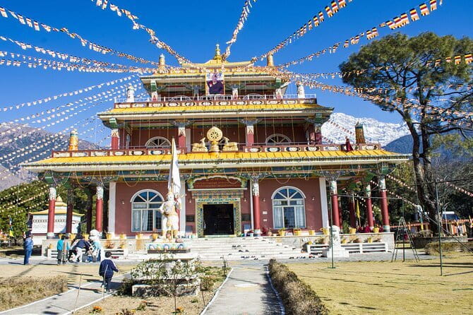 Guided Tour to Palampur-Monasteries, Temple & Tea Gardens visit - Five things to know before you book