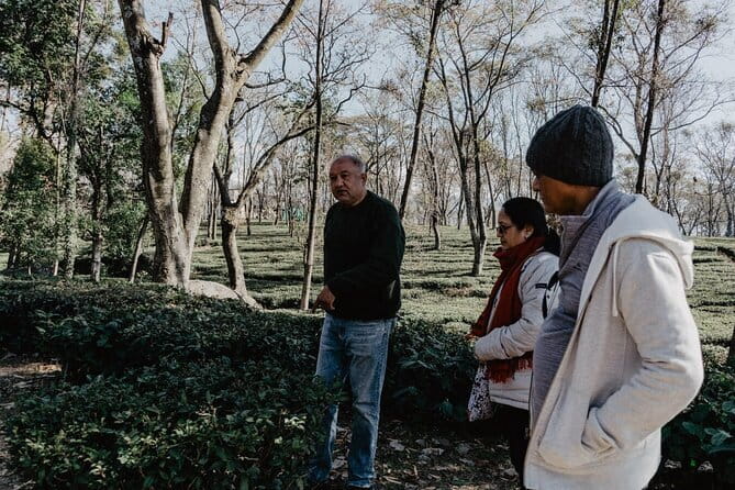 Guided Tour to Palampur-Monasteries, Temple & Tea Gardens visit - McLeodganj and the Dalai Lama temple area