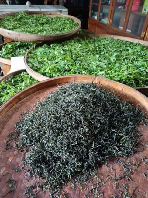 Guilin: City Tour with Elephant Hill & Ming Tea Tasting - Why this half-day pairing works