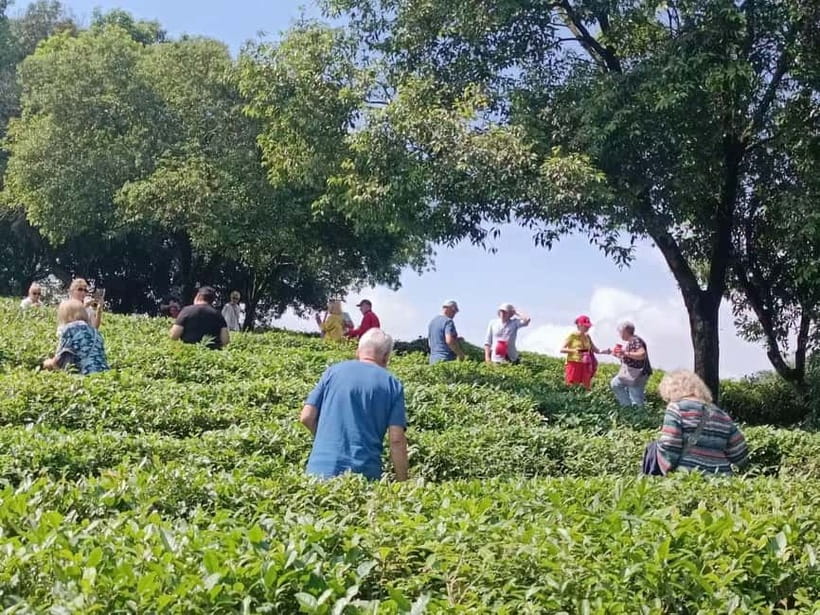 Guilin: City Tour with Elephant Hill & Ming Tea Tasting - Elephant Trunk Hill and the Li River