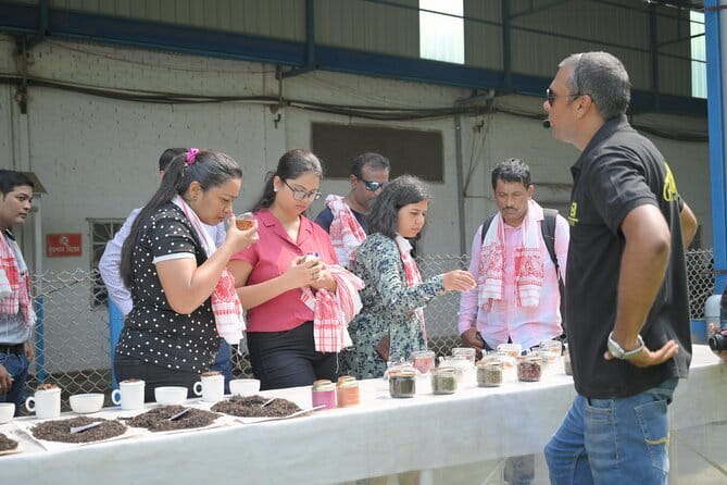 Guwahati Tea Garden tour @ Amchong - Why Amchong works as a short Guwahati outing