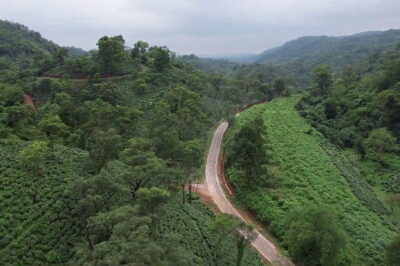 Guwahati Tea Garden tour @ Amchong