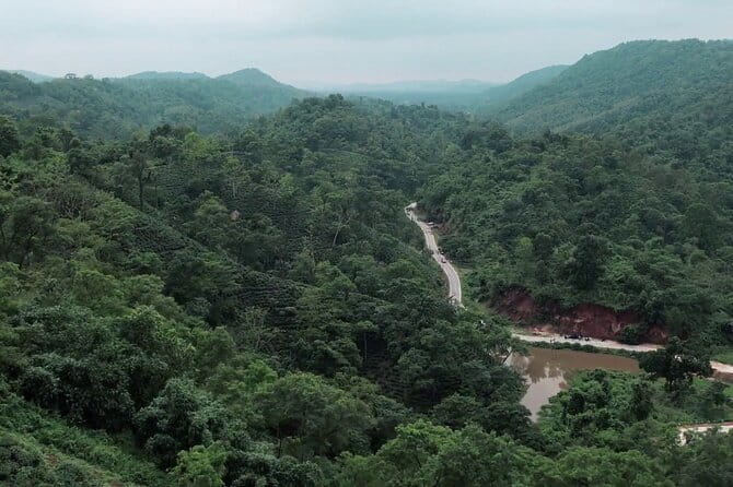 Guwahati Tea Garden tour @ Amchong - The guide can shape the whole experience