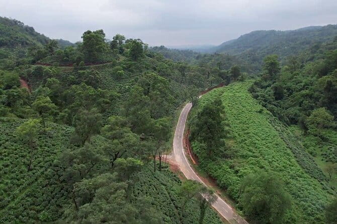 Guwahati Tea Garden tour @ Amchong - Reaching the tea gardens from Guwahati