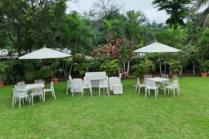 Guwahati Tea Garden Tour with Lunch & Hi Tea (Premium Experience) - Practical advice for a smoother visit