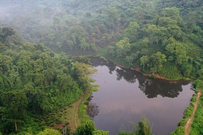 Guwahati Tea Garden Tour with Lunch & Hi Tea (Premium Experience) - Inside the Amchong Tea Factory