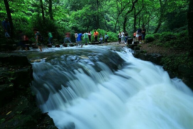Half-Day Hangzhou Jiuxi Stream and Tea Plantation Experience - Key points at a glance