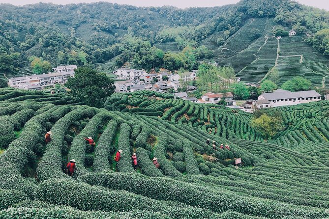 Half-Day Hangzhou Jiuxi Stream and Tea Plantation Experience - Why this half-day outing works