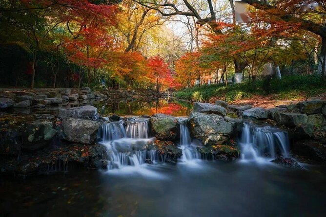 Half-Day Hangzhou Jiuxi Stream and Tea Plantation Experience - What the $118 price really covers