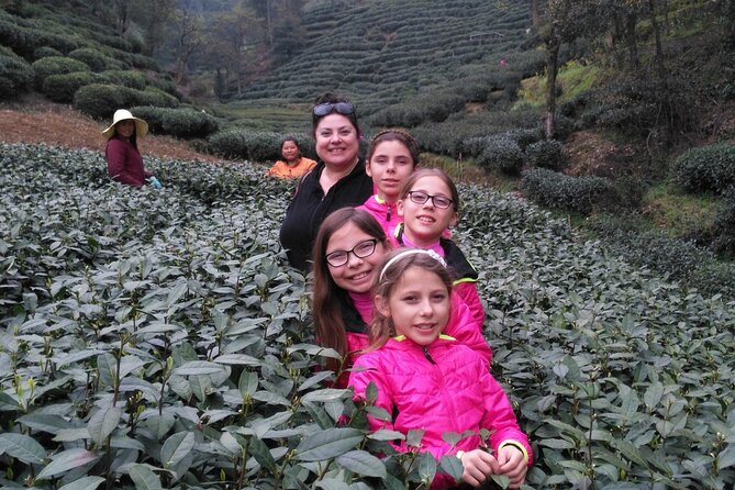Half-Day Hangzhou Jiuxi Stream and Tea Plantation Experience - Who will enjoy this most