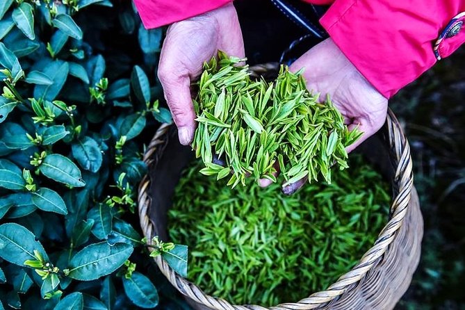 Half-Day Hangzhou Private Tour with Green Tea Village and Lingyin Temple - Feilai Feng and its carved stone Buddhas
