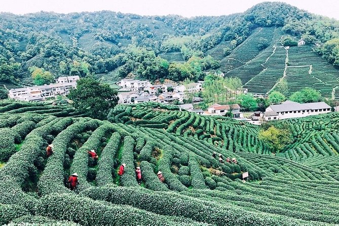 Half-Day Hangzhou Private Tour with Green Tea Village and Lingyin Temple - Who will get the most from this experience