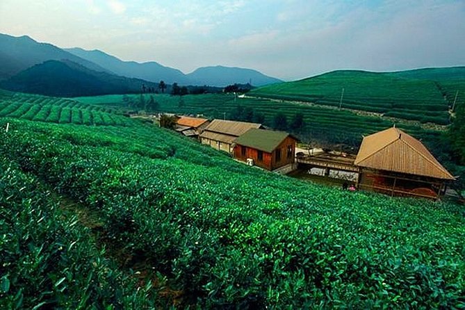 Half-Day Hangzhou Tianzhu Buddhist Mountain Hiking Tour with Green Tea Village - Key points to know before you book