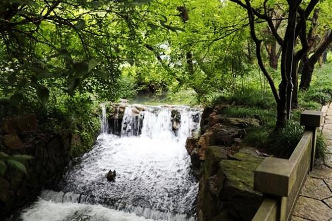 Half-Day Hangzhou Tianzhu Buddhist Mountain Hiking Tour with Green Tea Village - Starting at Fajing Temple after hotel or train pickup