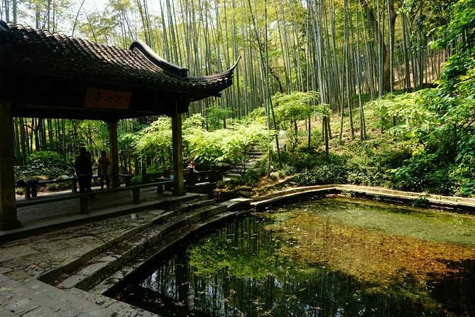 Half-Day Hangzhou Yunxi Bamboo Forest and Tea Plantation Experience - Key points at a glance
