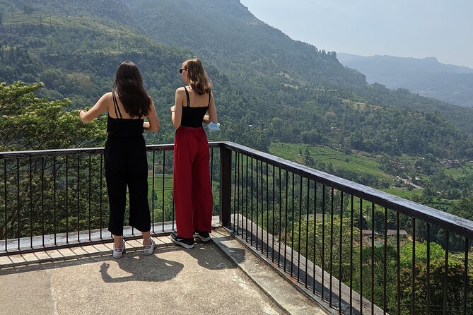 Half-Day Private Trip to Waterfalls and Tea Factory - Tea production at Damro Labookellie