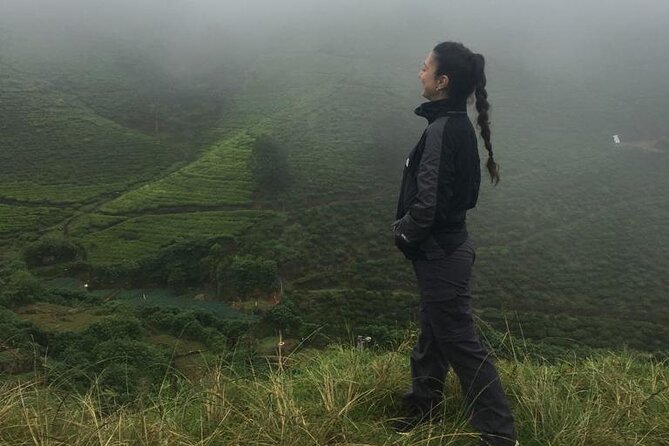 Half-Day Private Trip to Waterfalls and Tea Factory - A private vehicle makes the route more useful