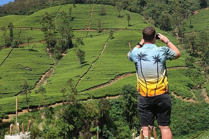 Half-Day Private Trip to Waterfalls and Tea Factory - Ending at Gregory Lake or your hotel