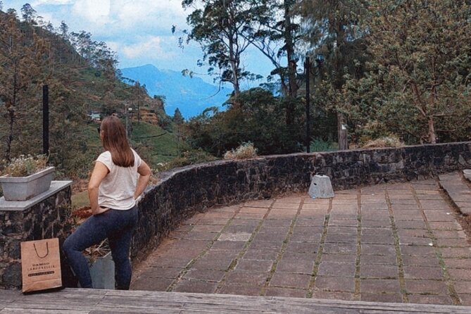 Half-Day Private Trip to Waterfalls and Tea Factory - Who will get the most from this tour