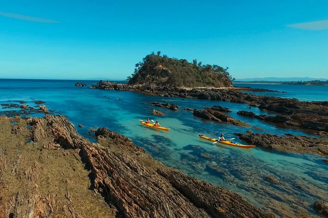 Half Day Sea Kayak Tour from Batemans Bay with Morning Tea - Key points before you book