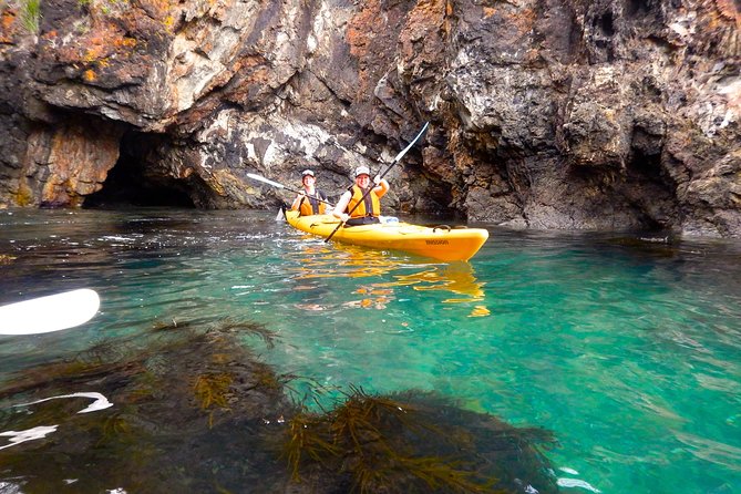 Half Day Sea Kayak Tour from Batemans Bay with Morning Tea - Fitness, seasickness, and what to pack