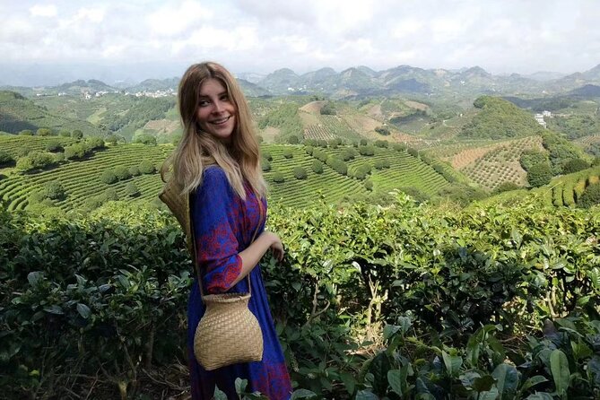 Half-day Tour: Largest Tea Plantation & Amazing Xianggong Hill - Key points to know before you book
