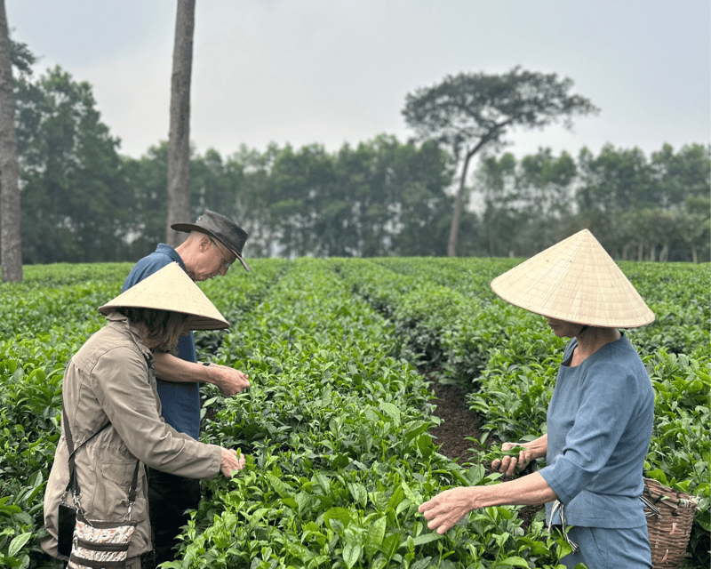 Hanoi Eco Tour: Ba Vi National Park Wonders & Tea Plantation - Key points to know before you book