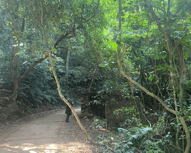 Hanoi Eco Tour: Ba Vi National Park Wonders & Tea Plantation - Leaving Hanoi for Ba Vi National Park