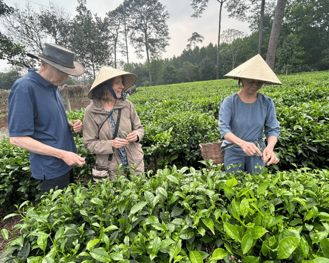 Hanoi Eco Tour: Ba Vi National Park Wonders & Tea Plantation - Lunch among the mountain scenery
