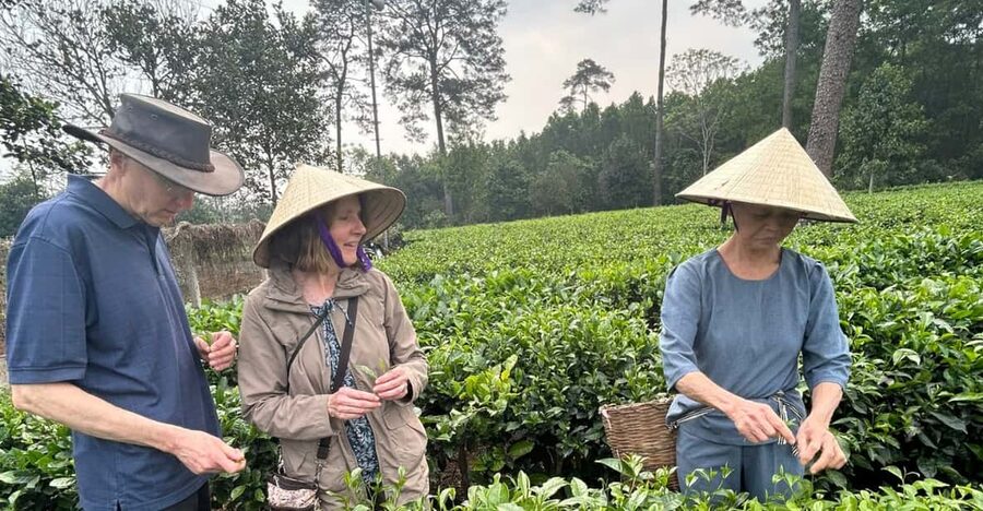 Hanoi Eco Tour: Ba Vi National Park Wonders & Tea Plantation - Climbing to Đền Thượng
